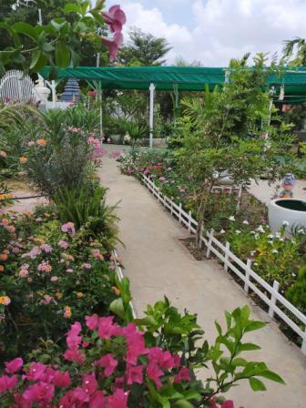 Vue du jardin