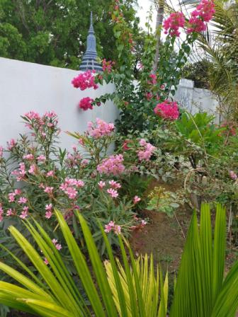 Les fleurs dans le jardin